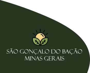 Logo São Gonçalo